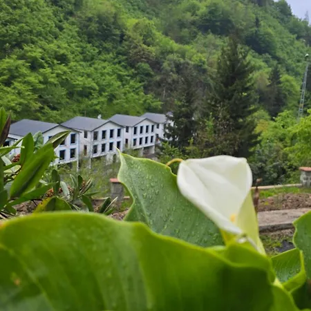 Muradland الوادي الأخضر Hotel