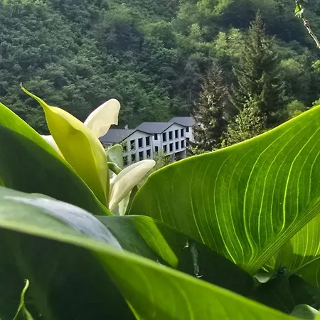Muradland الوادي الأخضر Hotel 3*