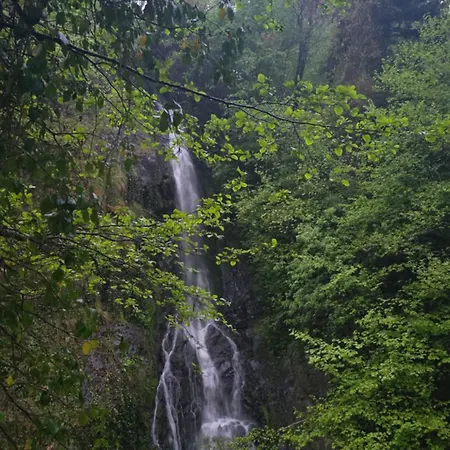 Muradland الوادي الأخضر 3* Trabzon