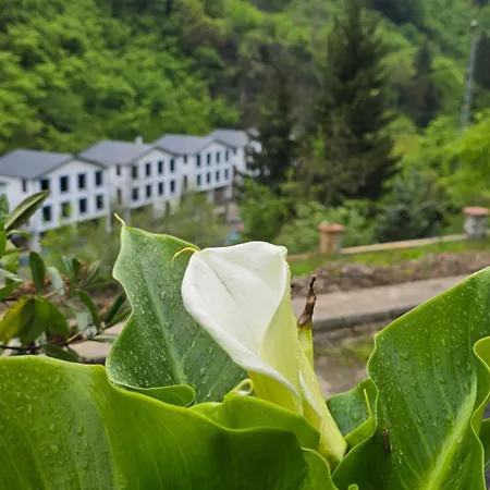 Hotel Muradland الوادي الأخضر 3*