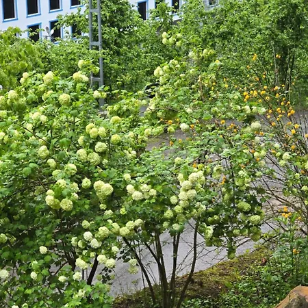 Muradland الوادي الأخضر Hotel Trabzon